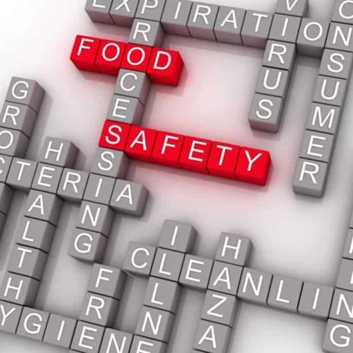 Food for Thought Food Safety Solutions